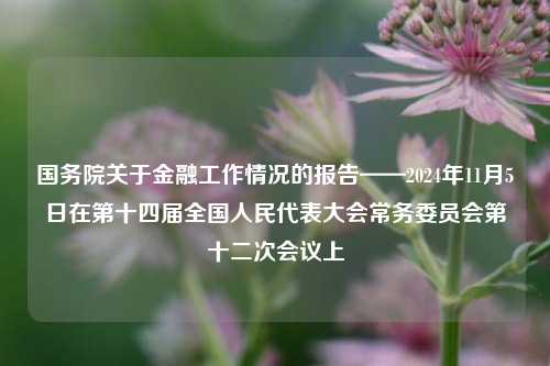 国务院关于金融工作情况的报告——2024年11月5日在第十四届全国人民代表大会常务委员会第十二次会议上