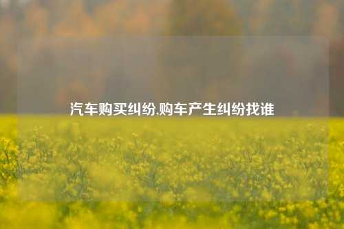 汽车购买纠纷,购车产生纠纷找谁