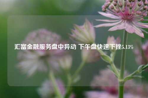 汇富金融服务盘中异动 下午盘快速下挫5.13%