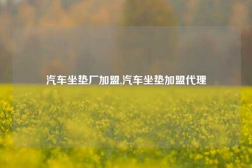 汽车坐垫厂加盟,汽车坐垫加盟代理