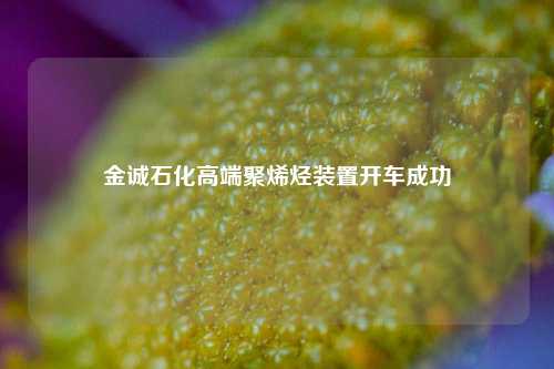 金诚石化高端聚烯烃装置开车成功