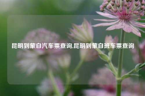 昆明到蒙自汽车票查询,昆明到蒙自班车票查询