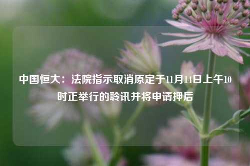 中国恒大：法院指示取消原定于11月14日上午10时正举行的聆讯并将申请押后