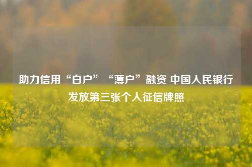 助力信用“白户”“薄户”融资 中国人民银行发放第三张个人征信牌照