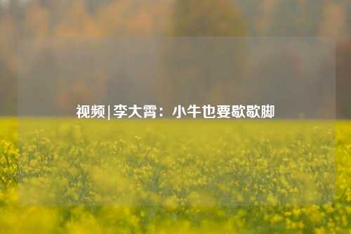 视频|李大霄：小牛也要歇歇脚