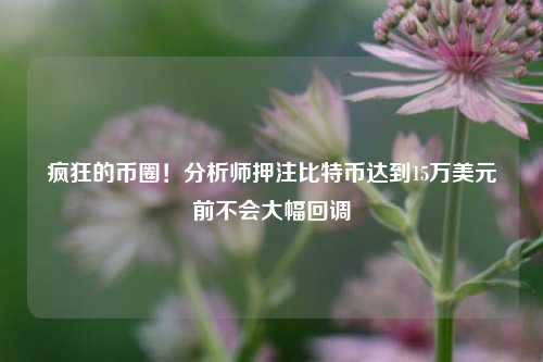 疯狂的币圈！分析师押注比特币达到15万美元前不会大幅回调