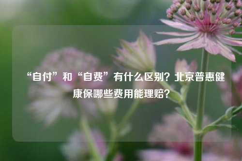 “自付”和“自费”有什么区别？北京普惠健康保哪些费用能理赔？