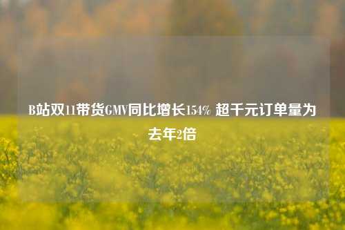 B站双11带货GMV同比增长154% 超千元订单量为去年2倍