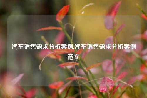 汽车销售需求分析案例,汽车销售需求分析案例范文