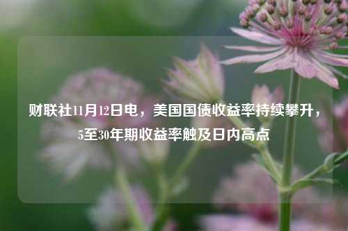 财联社11月12日电，美国国债收益率持续攀升，5至30年期收益率触及日内高点