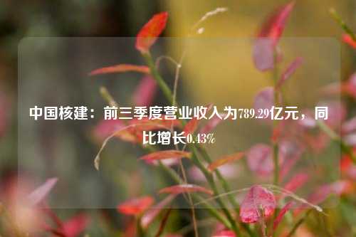 中国核建：前三季度营业收入为789.29亿元，同比增长0.43%