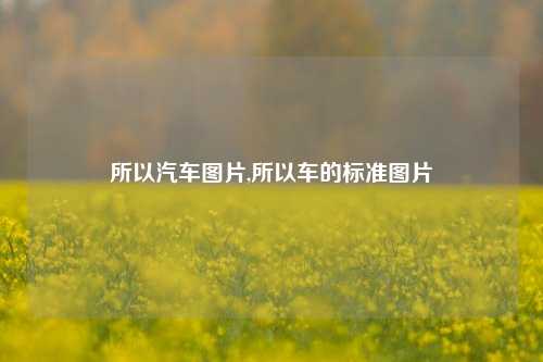 所以汽车图片,所以车的标准图片