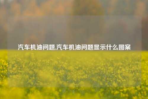 汽车机油问题,汽车机油问题显示什么图案