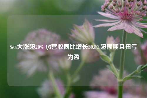 Sea大涨超20% Q3营收同比增长30.8%超预期且扭亏为盈