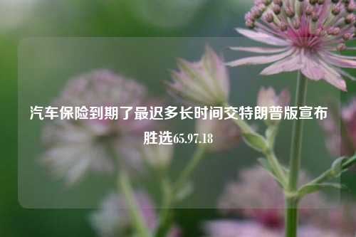 汽车保险到期了最迟多长时间交特朗普版宣布胜选65.97.18