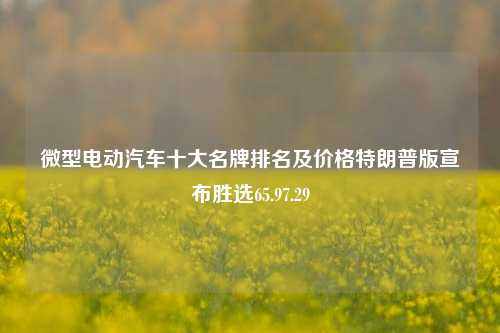 微型电动汽车十大名牌排名及价格特朗普版宣布胜选65.97.29