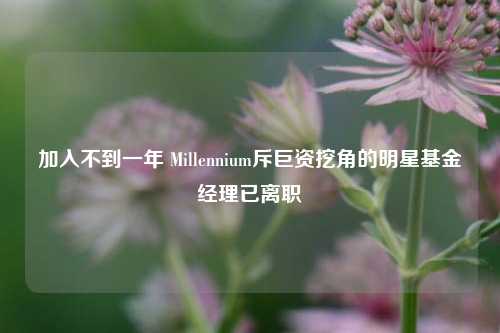 加入不到一年 Millennium斥巨资挖角的明星基金经理已离职