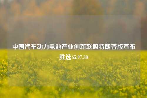 中国汽车动力电池产业创新联盟特朗普版宣布胜选65.97.30