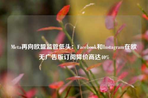 Meta再向欧盟监管低头：Facebook和Instagram在欧无广告版订阅降价高达40%