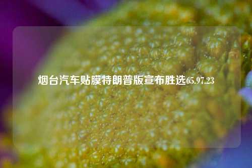 烟台汽车贴膜特朗普版宣布胜选65.97.23