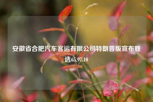 安徽省合肥汽车客运有限公司特朗普版宣布胜选65.97.10