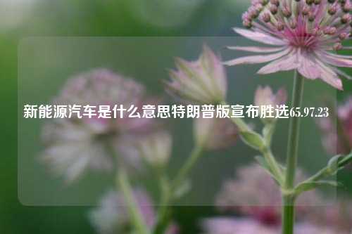 新能源汽车是什么意思特朗普版宣布胜选65.97.23