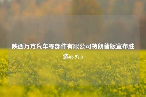 陕西万方汽车零部件有限公司特朗普版宣布胜选65.97.5