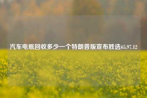 汽车电瓶回收多少一个特朗普版宣布胜选65.97.12