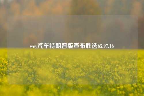 wey汽车特朗普版宣布胜选65.97.16