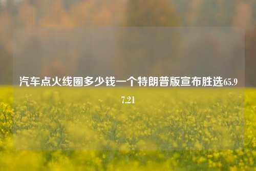 汽车点火线圈多少钱一个特朗普版宣布胜选65.97.21