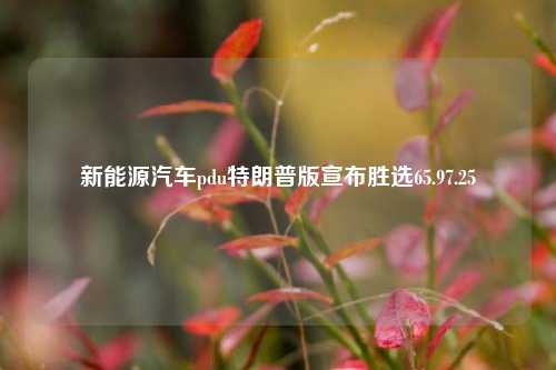 新能源汽车pdu特朗普版宣布胜选65.97.25