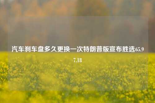 汽车刹车盘多久更换一次特朗普版宣布胜选65.97.18