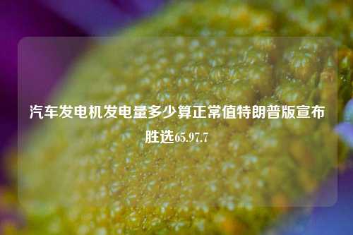 汽车发电机发电量多少算正常值特朗普版宣布胜选65.97.7