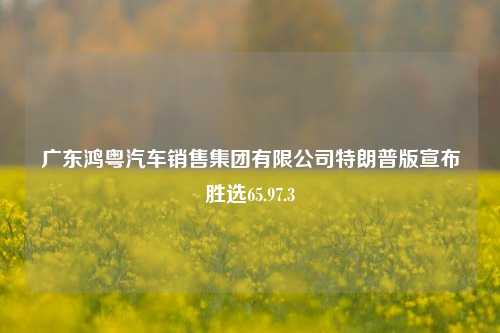 广东鸿粤汽车销售集团有限公司特朗普版宣布胜选65.97.3