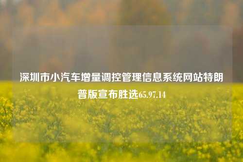 深圳市小汽车增量调控管理信息系统网站特朗普版宣布胜选65.97.14