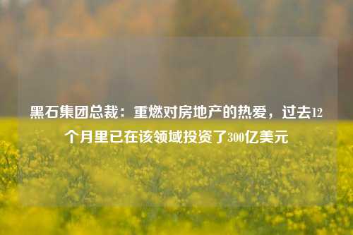 黑石集团总裁：重燃对房地产的热爱，过去12个月里已在该领域投资了300亿美元