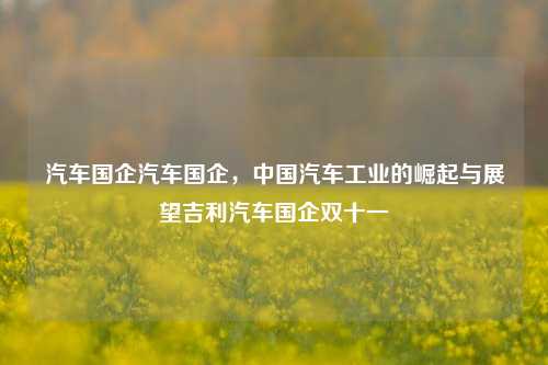 汽车国企汽车国企，中国汽车工业的崛起与展望吉利汽车国企双十一