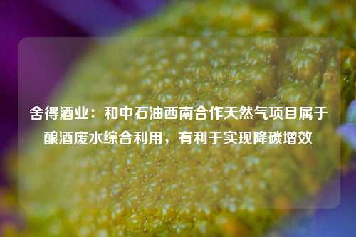 舍得酒业：和中石油西南合作天然气项目属于酿酒废水综合利用，有利于实现降碳增效