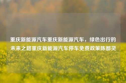 重庆新能源汽车重庆新能源汽车，绿色出行的未来之路重庆新能源汽车停车免费政策陈都灵