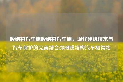 膜结构汽车棚膜结构汽车棚，现代建筑技术与汽车保护的完美结合邵阳膜结构汽车棚得物