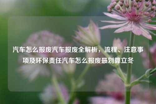 汽车怎么报废汽车报废全解析，流程、注意事项及环保责任汽车怎么报废最划算立冬