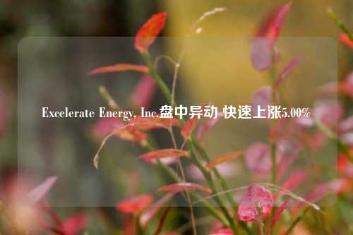 Excelerate Energy, Inc.盘中异动 快速上涨5.00%