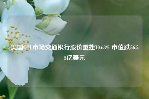 美国OTC市场交通银行股价重挫10.63% 市值跌56.55亿美元