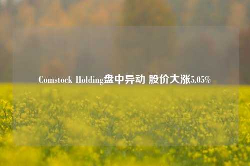 Comstock Holding盘中异动 股价大涨5.05%