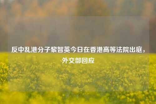 反中乱港分子黎智英今日在香港高等法院出庭，外交部回应