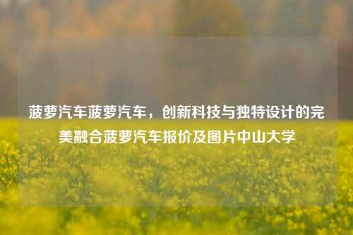 菠萝汽车菠萝汽车，创新科技与独特设计的完美融合菠萝汽车报价及图片中山大学