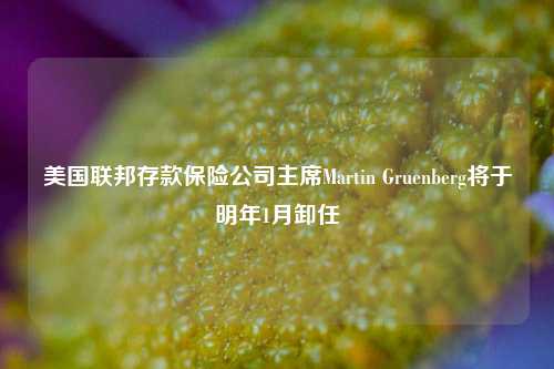 美国联邦存款保险公司主席Martin Gruenberg将于明年1月卸任