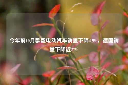 今年前10月欧盟电动汽车销量下降4.9%，德国销量下降近27%