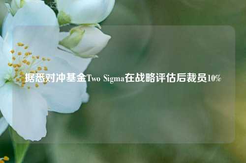 据悉对冲基金Two Sigma在战略评估后裁员10%