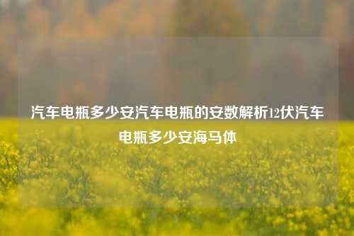 汽车电瓶多少安汽车电瓶的安数解析12伏汽车电瓶多少安海马体